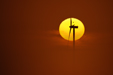 Tranzyt Wenus na tle Słońca 2012