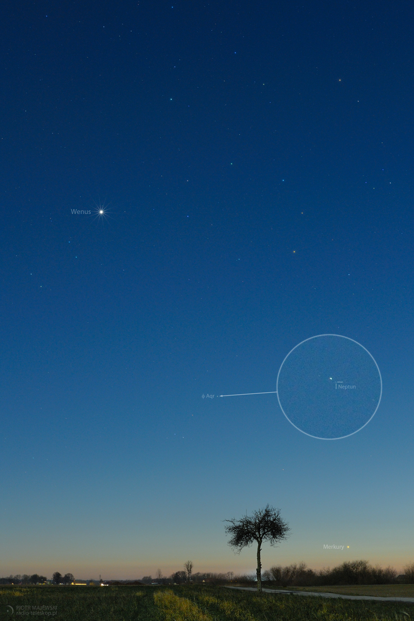 TREE-IO. Merkury, Wenus i Neptun 07 lutego 2020 roku.