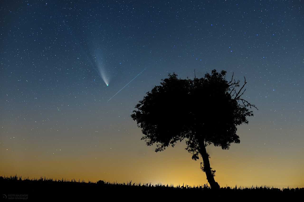 OKRUCHY KOMETY. Kometa C/2020 F3 NEOWISE i meteor z roju Perseidów.